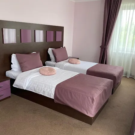 Hotel Amber & Cafe 3*